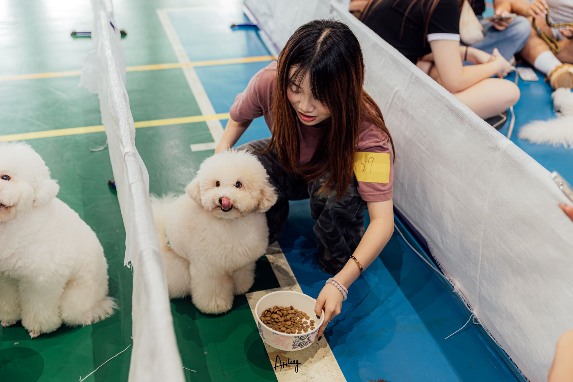 圖3.吃得快挑戰賽