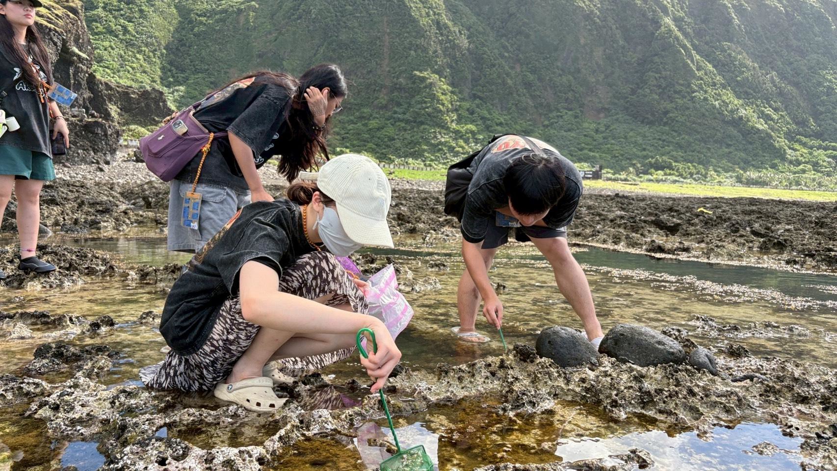 潮間帶生態知識走讀
