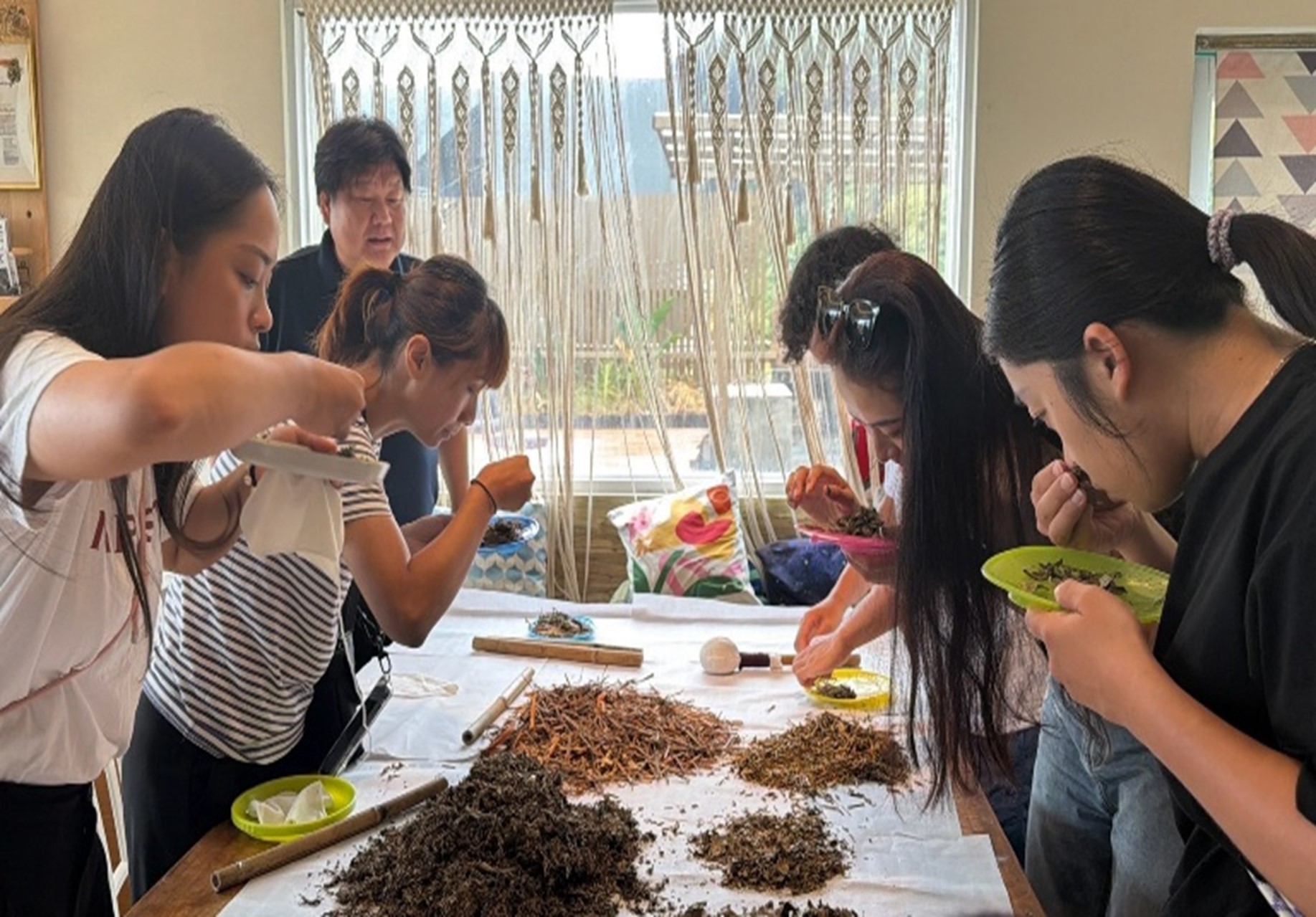 草本按摩槌體驗