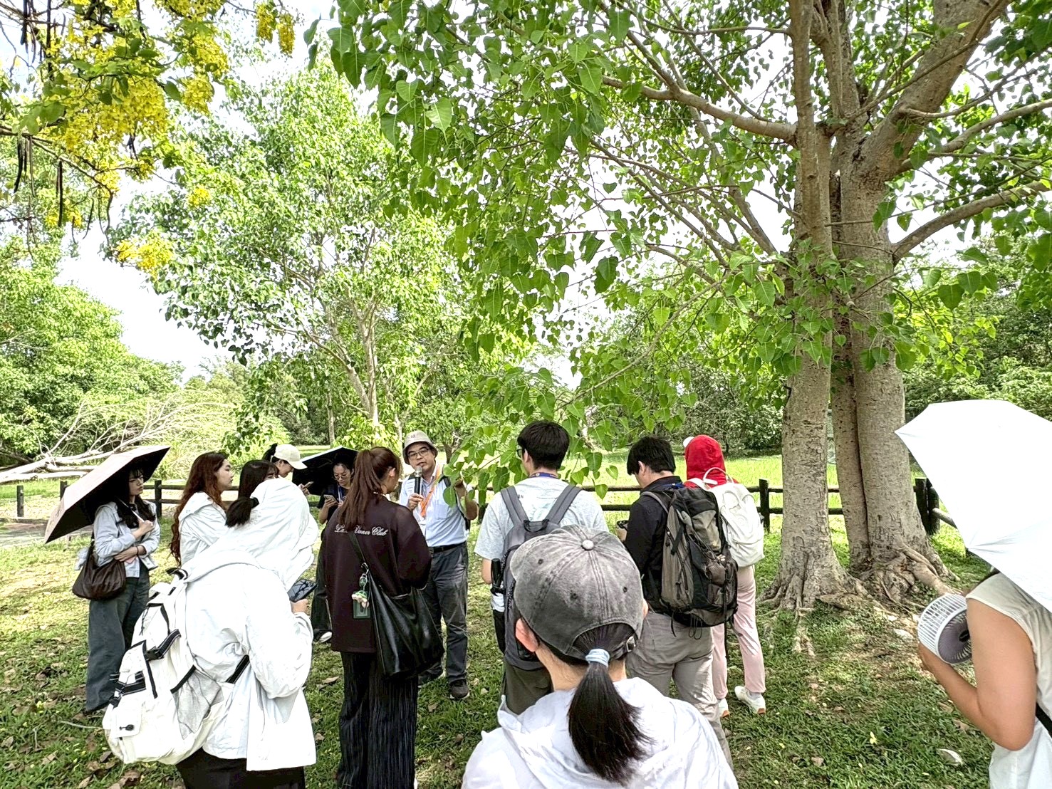 鄭朝駿業師講解自然植物
